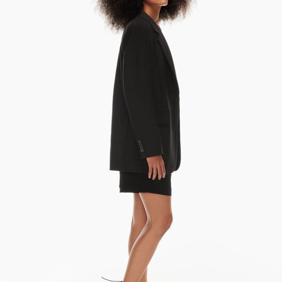 New Agency Blazer - Babaton, Aritzia - BIRCH - NWT - Picture 5 of 6